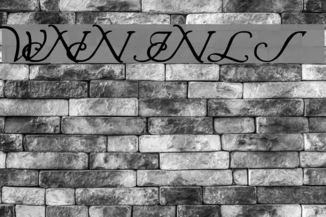 Wrenn Initials Font examples