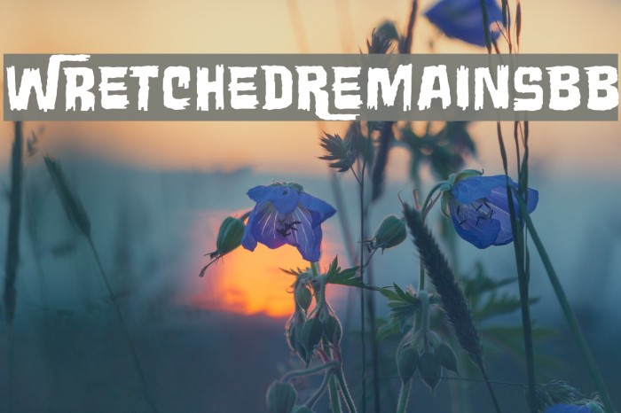 WretchedRemainsBB Example 3