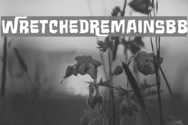 WretchedRemainsBB Font examples