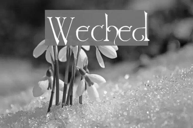 Wretched Font examples