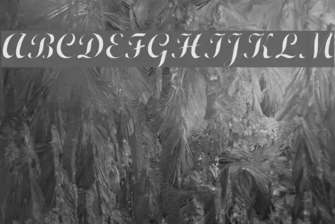 Wrexham Script Light Font examples