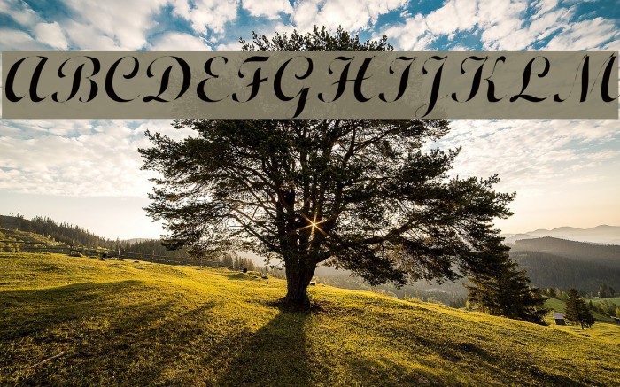 Wrexham Script Light Example 3