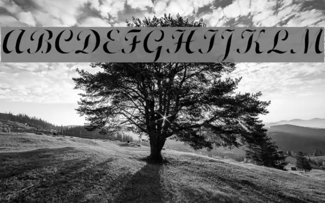 Wrexham Script Light Font examples