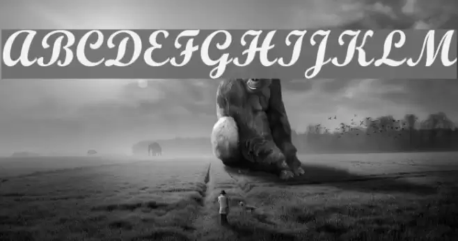 Wrexham Script Font examples