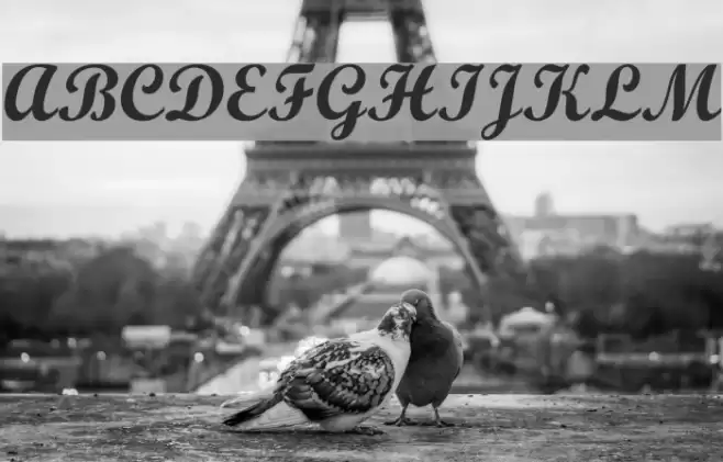 Wrexham Script Font examples