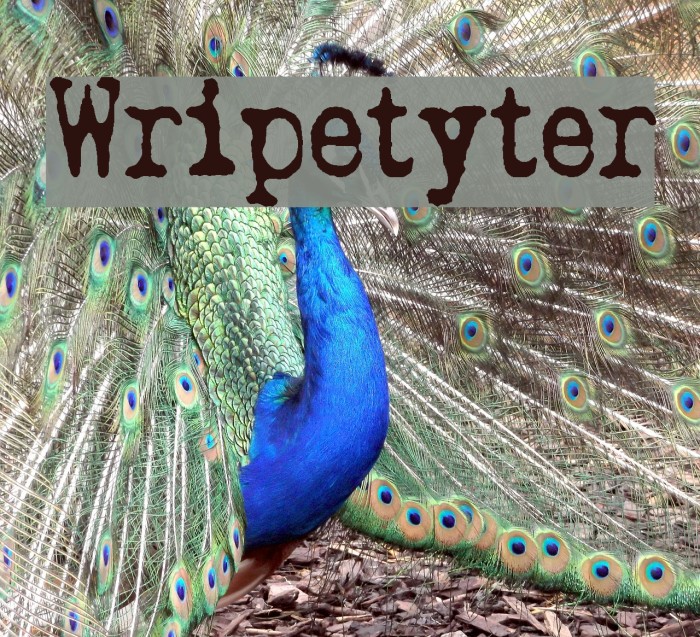 Wripetyter Font examples