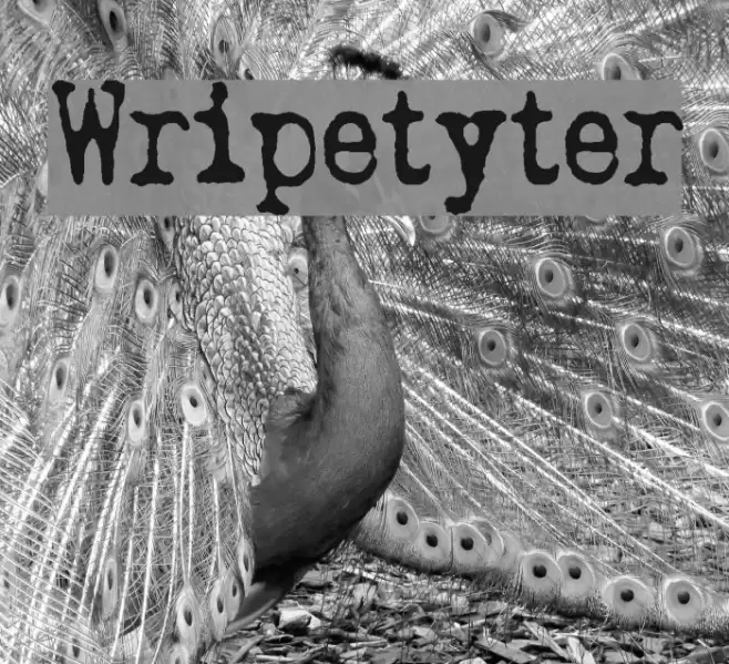 Wripetyter  examples