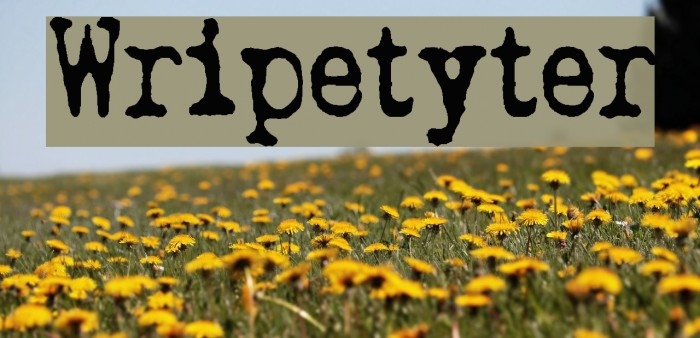 Wripetyter Font examples