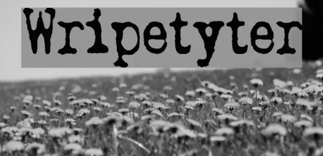 Wripetyter  examples