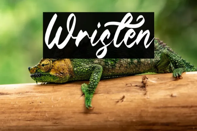 Wristen Example 2