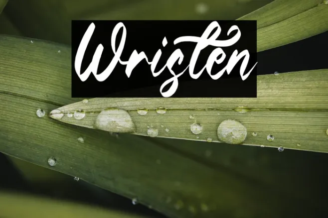 Wristen Example 3