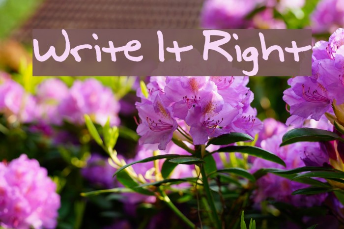 Write It Right Schriftart examples