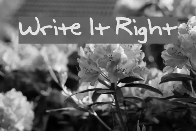 Write It Right Шрифта examples