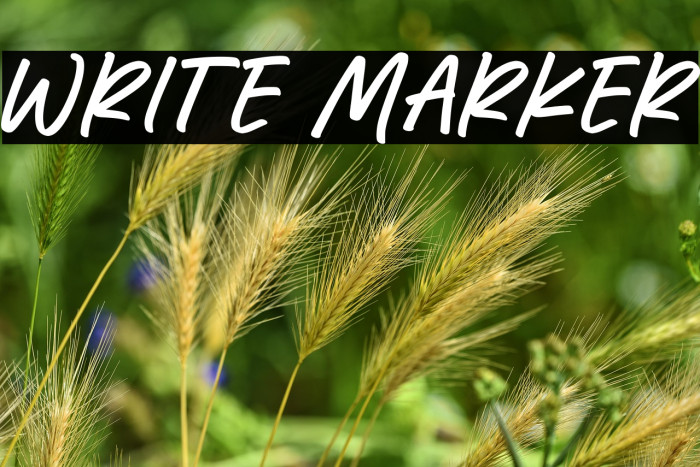 Write Marker Example 1