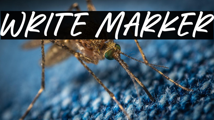 Write Marker Example 2