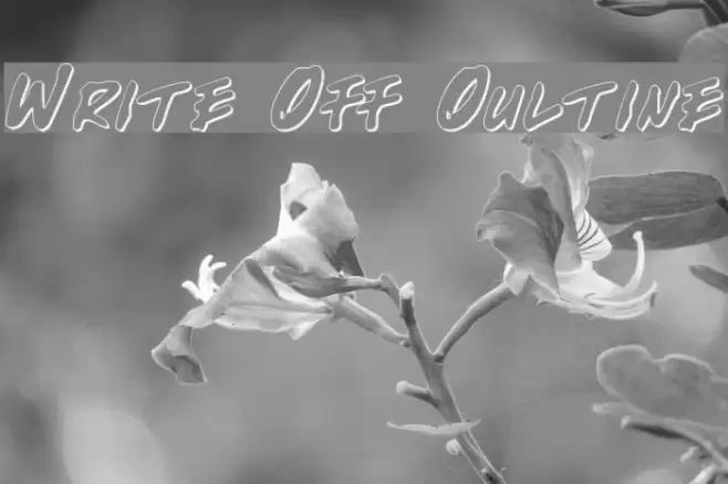 Write Off Oultine Fonte examples
