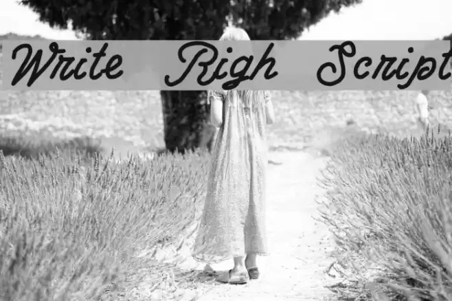 Write Righ Script Font examples