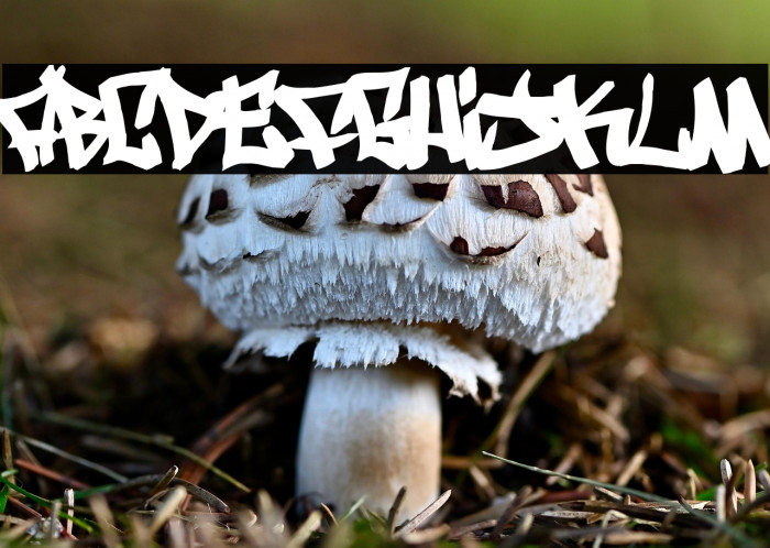 Writers bold Example 2