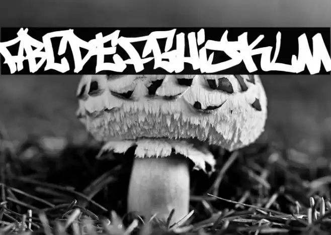 Writers bold Font examples