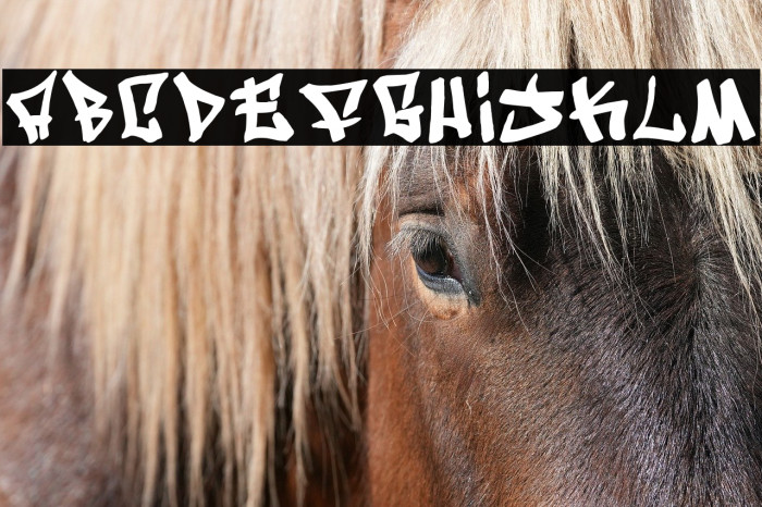 Writers condensed Example 3