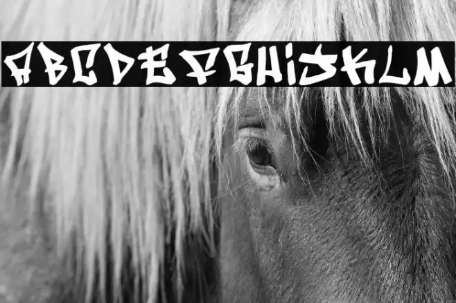 Writers condensed Font examples