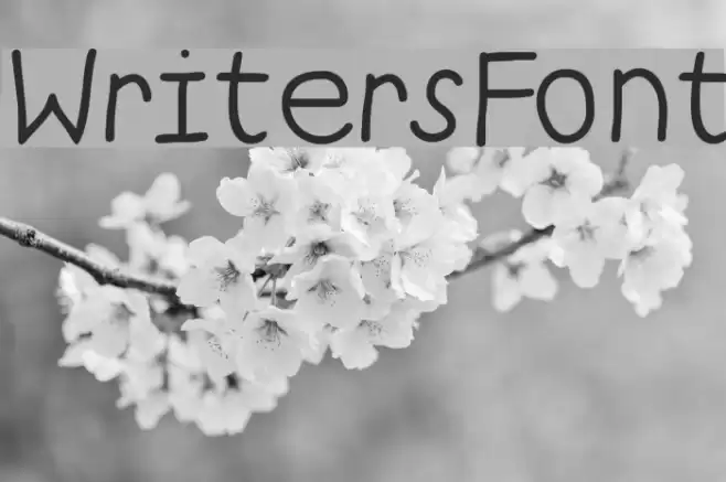 WritersFont Font examples