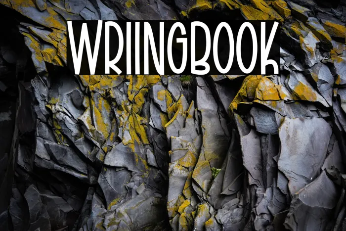 Writing Book Example 2