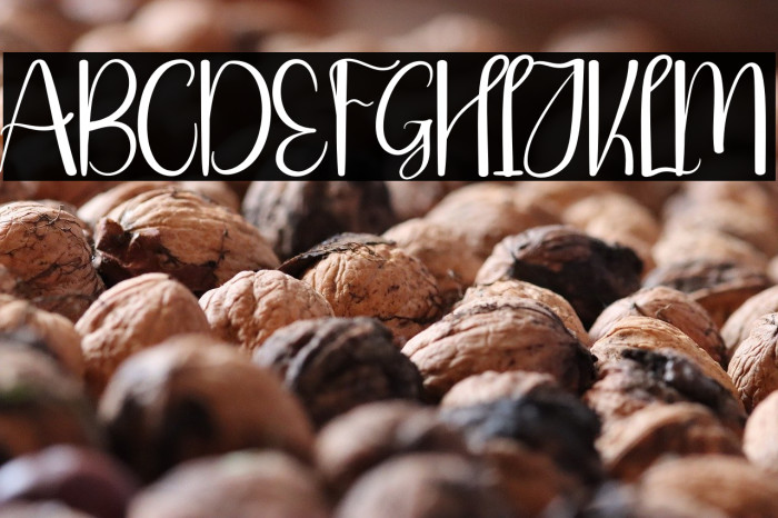 Writing Creative Example 3