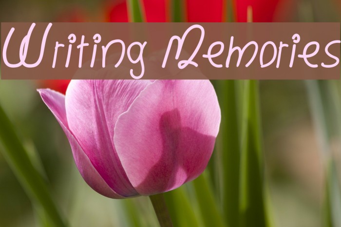 Writing Memories Font examples