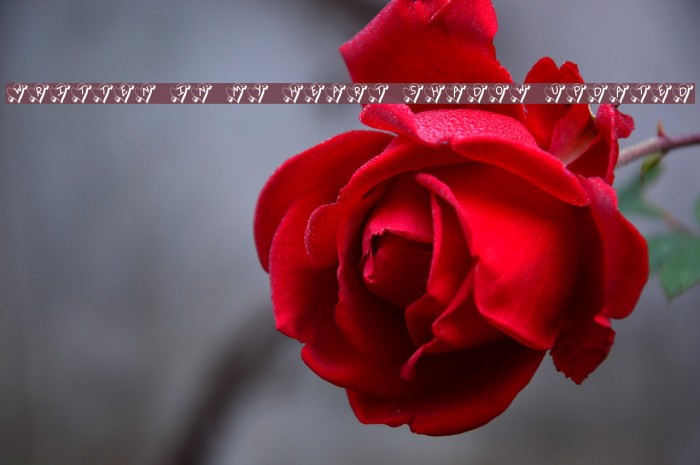 Written In My Heart Shadow Updated Font examples