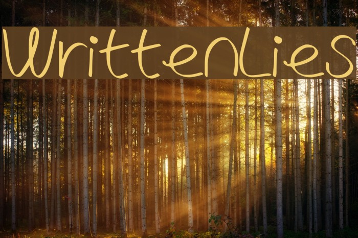 WrittenLies Font examples