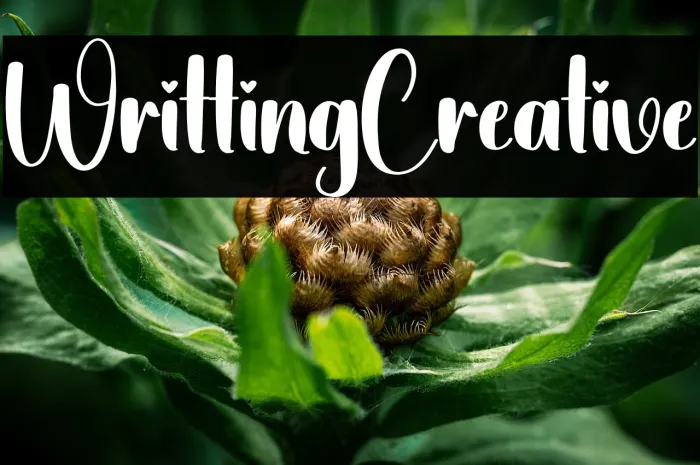 Writting Creative Example 1