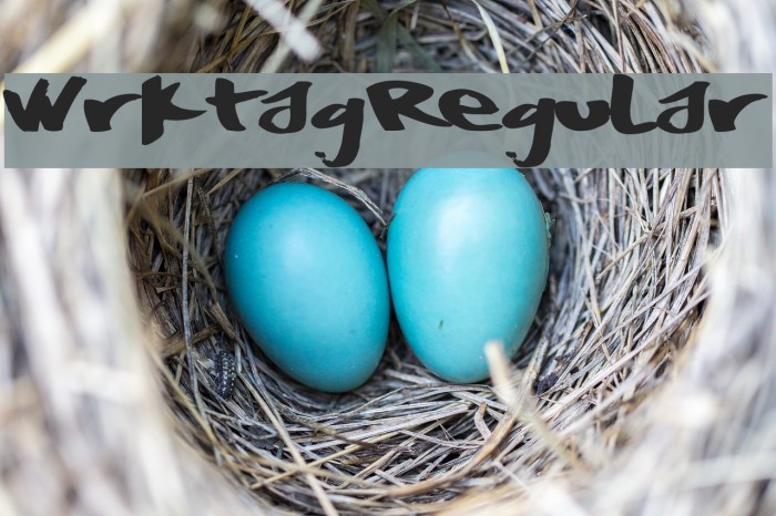 WrktagRegular Example 2