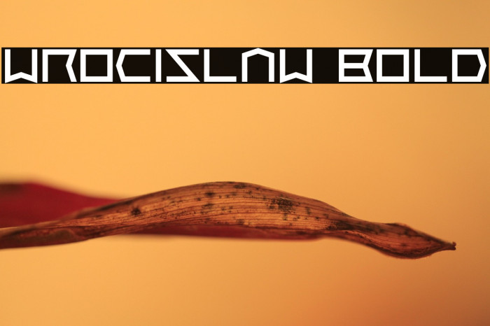 Wrocislaw Bold Example 1