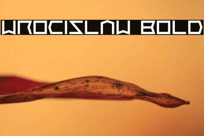 Wrocislaw Bold Example 1