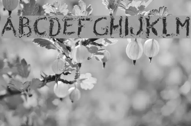 Wrong Board 1 Font examples