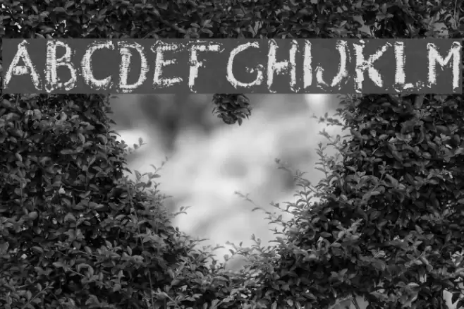 Wrong Board 1 Font examples