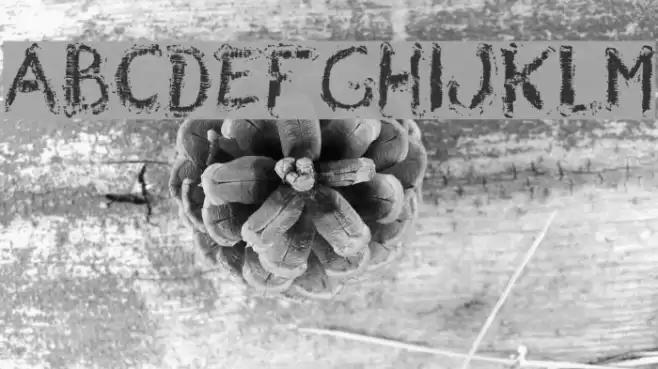 Wrong Board 1 Font examples