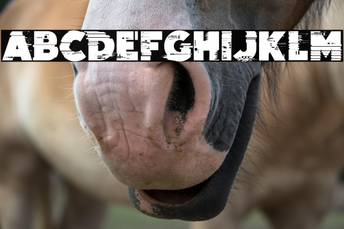 Wrong Delivery Example 3