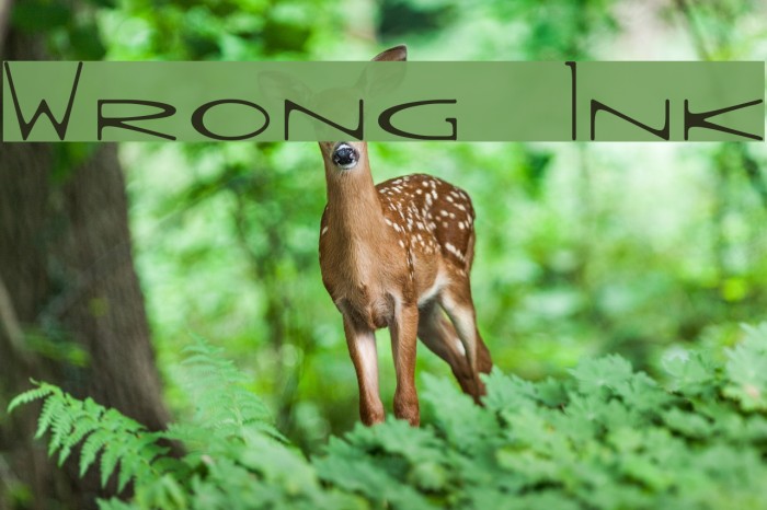 Wrong Ink Font examples