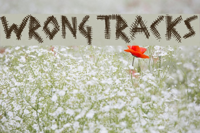 Wrong Tracks Font examples