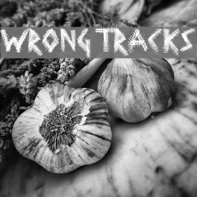 Wrong Tracks Font examples