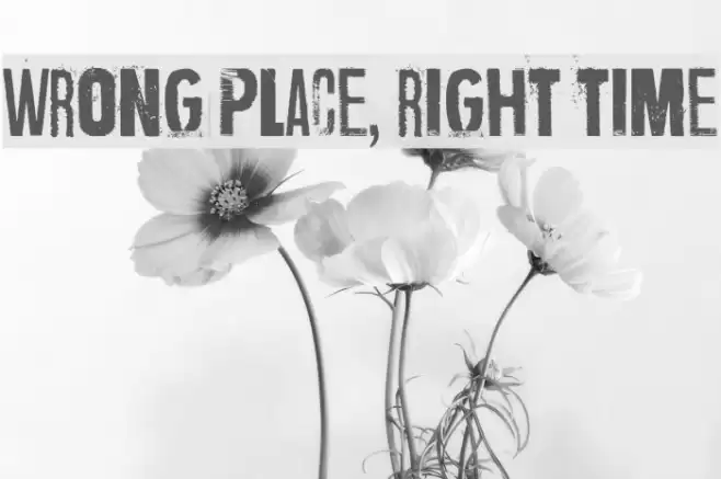 Wrong place, right time خط examples