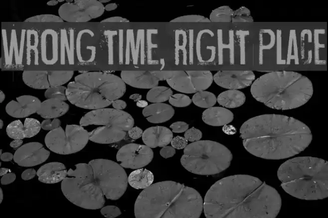 Wrong time, right place Font examples