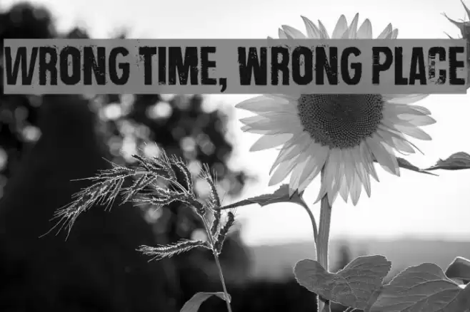 Wrong time, wrong place خط examples