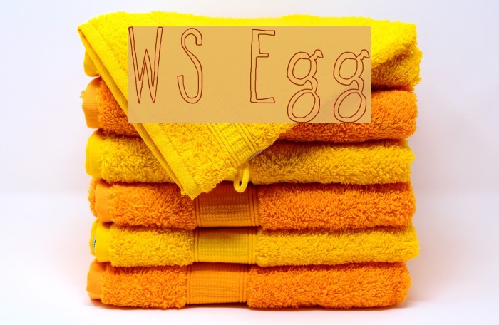 WS Egg Example 1