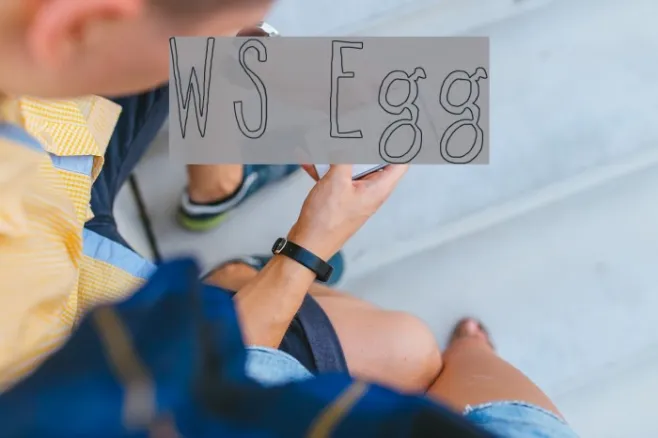 WS Egg Example 3