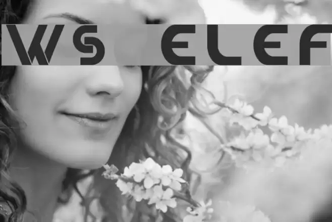 WS Elef Font examples
