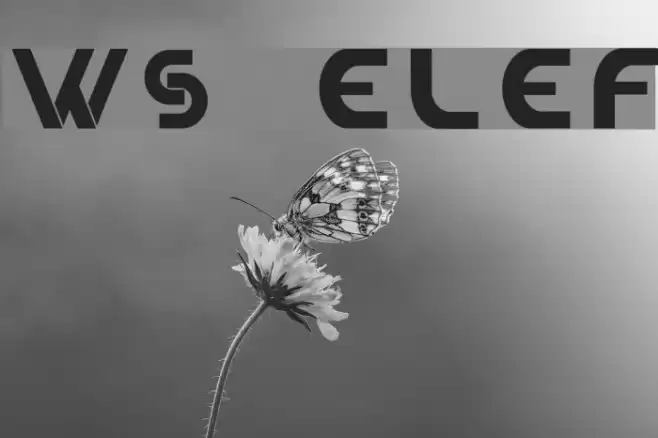 WS Elef Font examples
