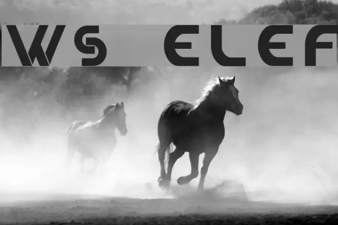 WS Elef Font examples